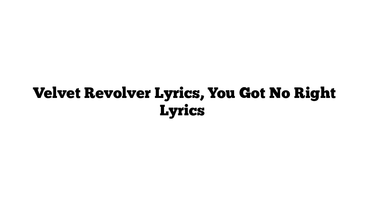  Velvet Revolver Lyrics, You Got No Right Lyrics